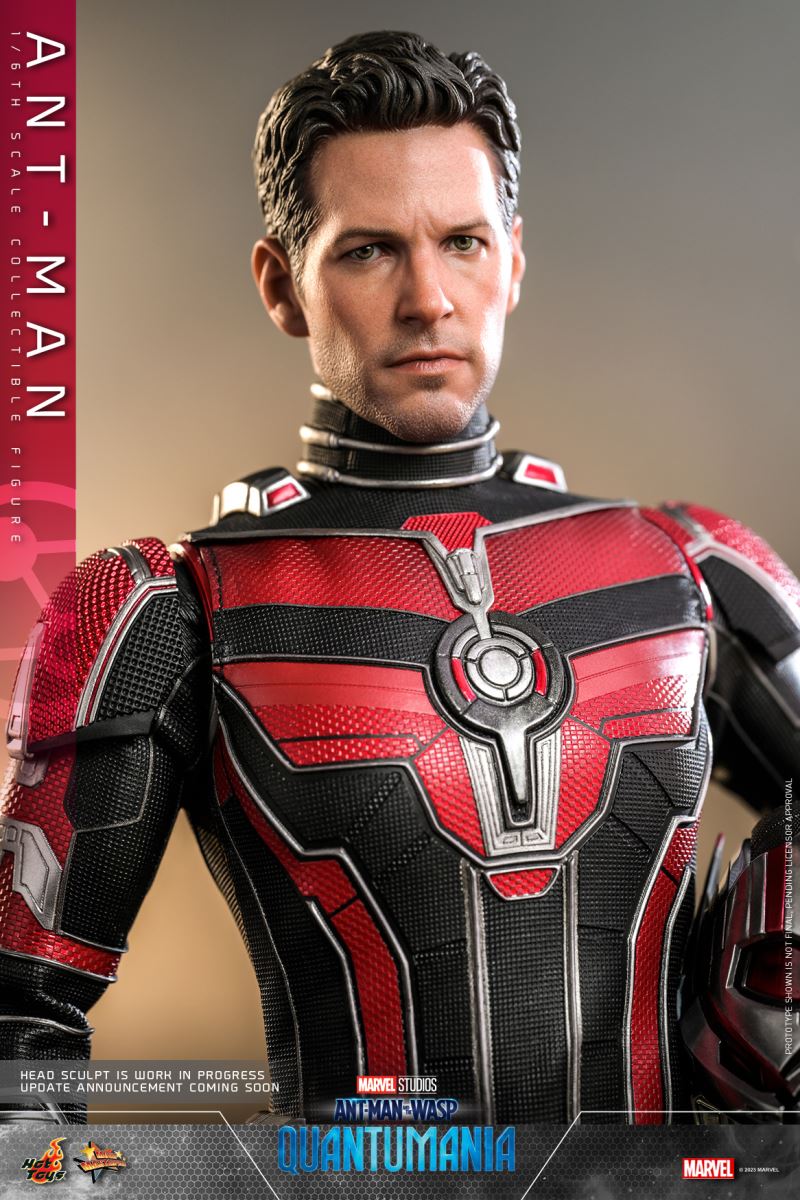 Ant-Man and the Wasp: Quantum Surge - ANT-MAN (MMS690) 1/6