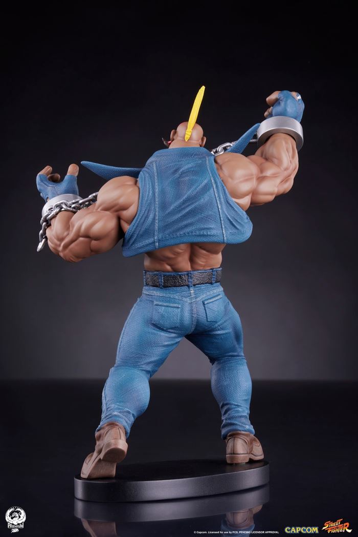 Street Fighter - Cammy & Birdie 1/10