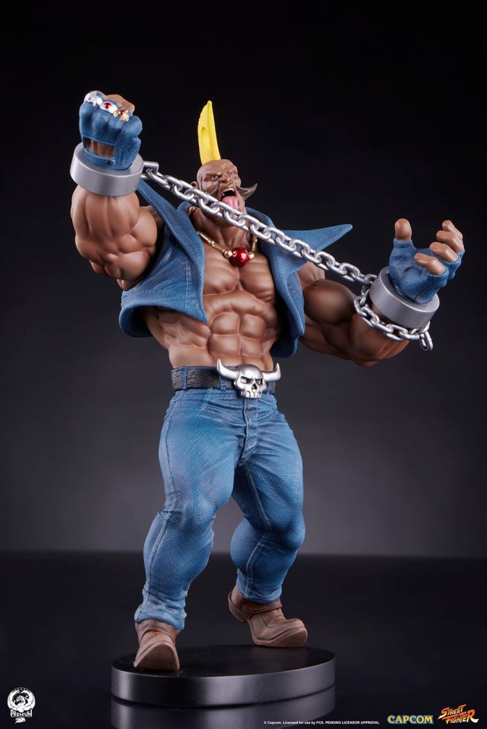 Street Fighter - Cammy & Birdie 1/10