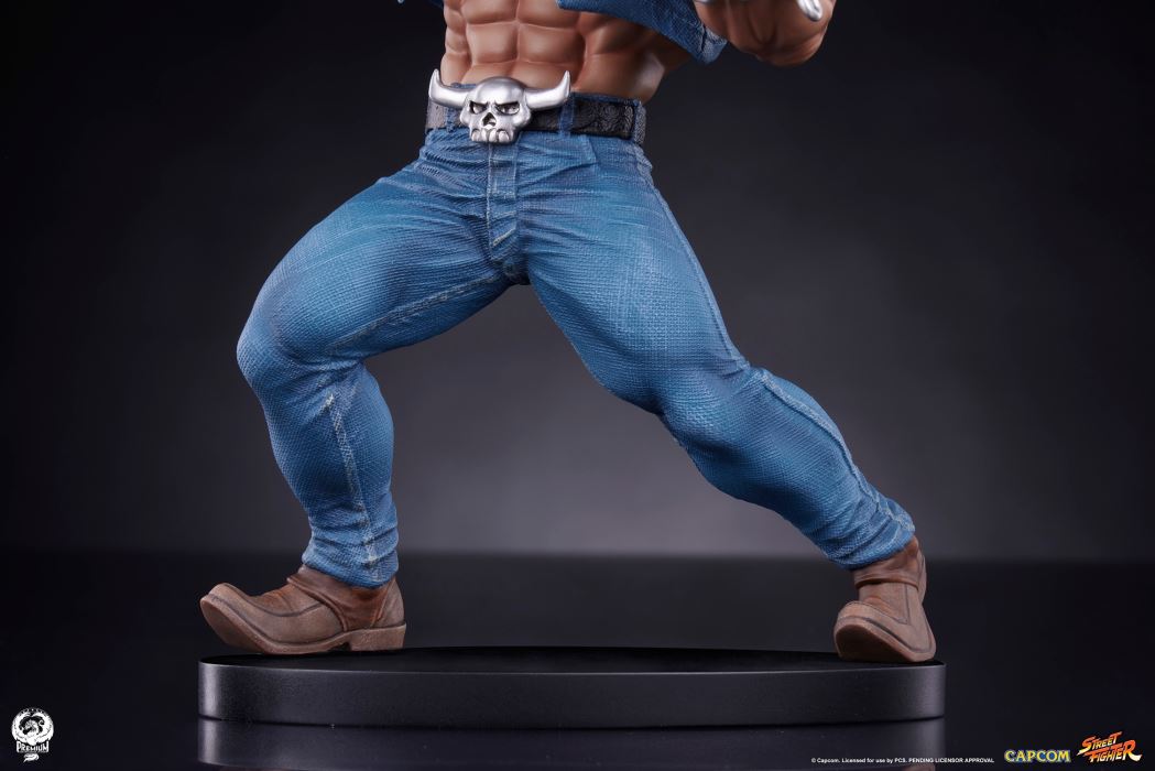 Street Fighter - Cammy & Birdie 1/10