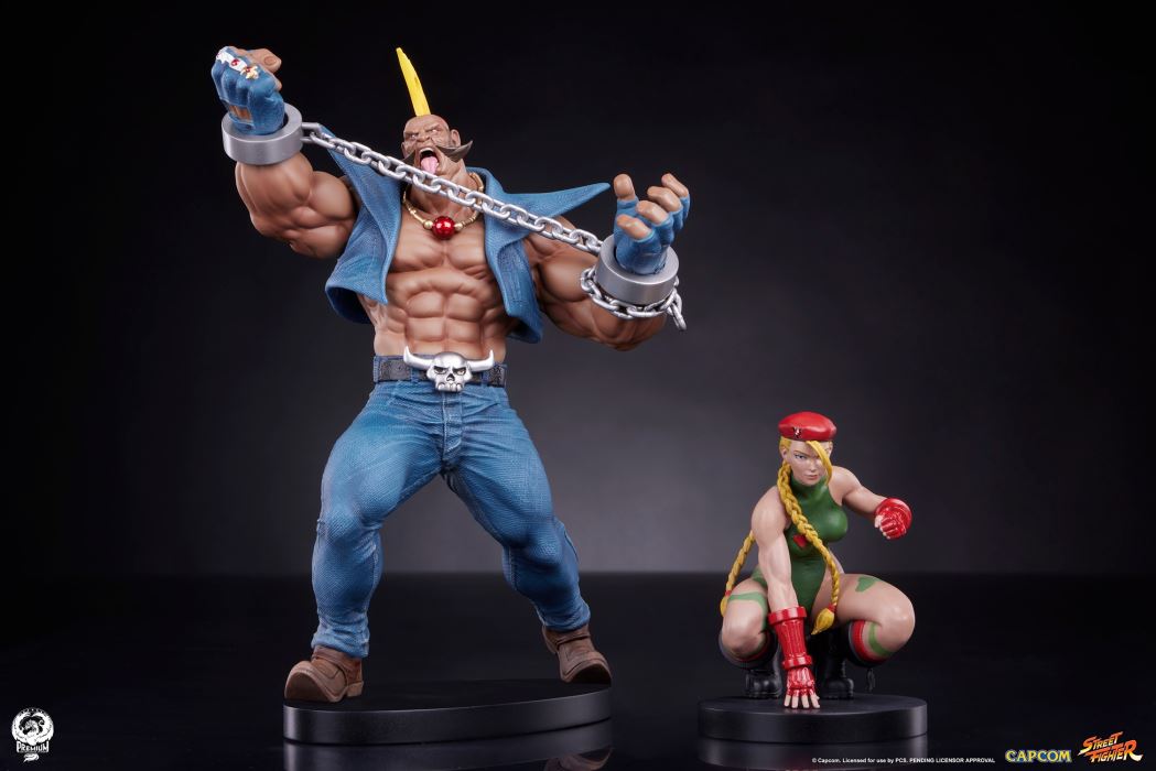 Street Fighter - Cammy & Birdie 1/10