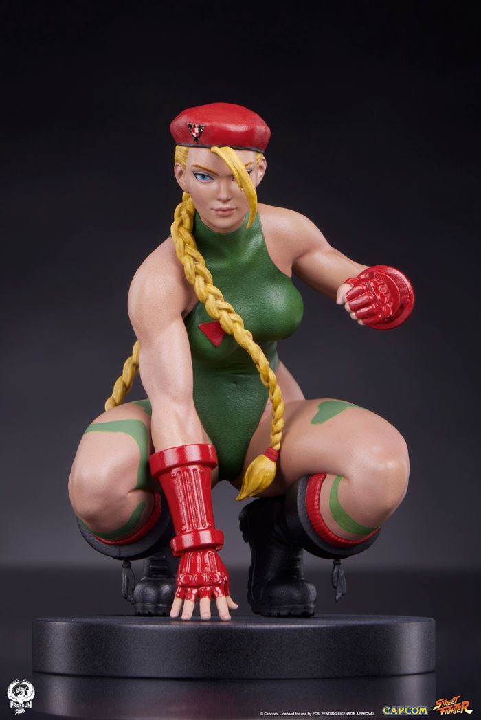 Street Fighter - Cammy & Birdie 1/10