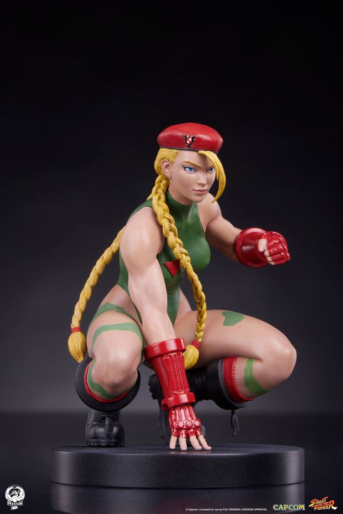Street Fighter - Cammy & Birdie 1/10