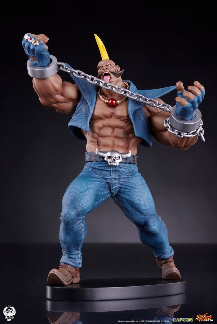 Street Fighter - Cammy & Birdie 1/10