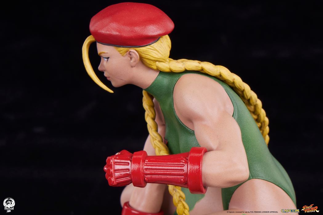 Street Fighter - Cammy & Birdie 1/10