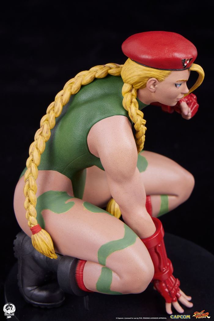 Street Fighter - Cammy & Birdie 1/10