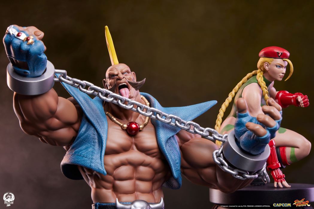 Street Fighter - Cammy & Birdie 1/10