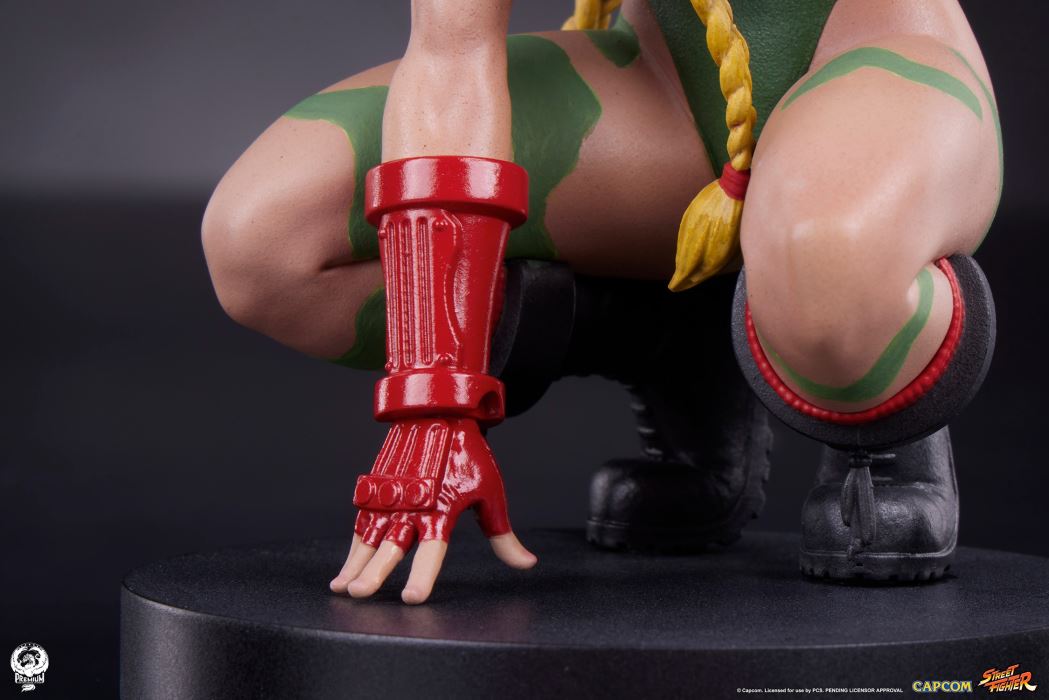 Street Fighter - Cammy & Birdie 1/10
