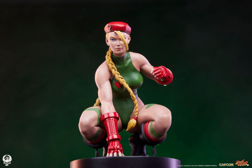 Street Fighter - Cammy & Birdie 1/10
