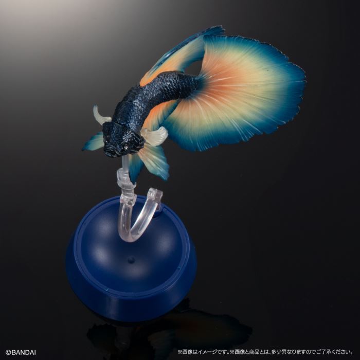 Encyclopedia of Creatures Advanced Betta