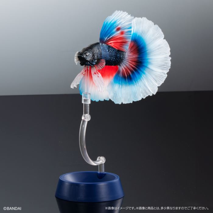 Encyclopedia of Creatures Advanced Betta