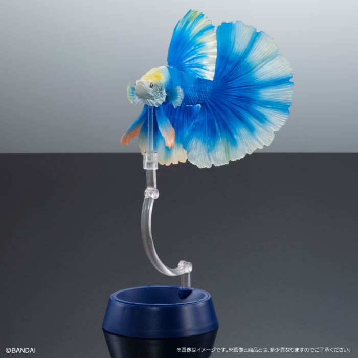 Encyclopedia of Creatures Advanced Betta