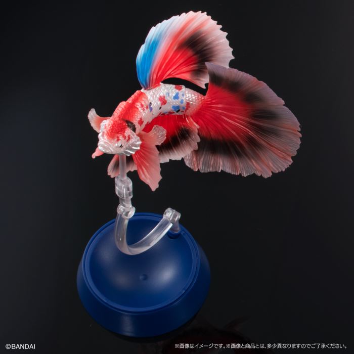 Encyclopedia of Creatures Advanced Betta