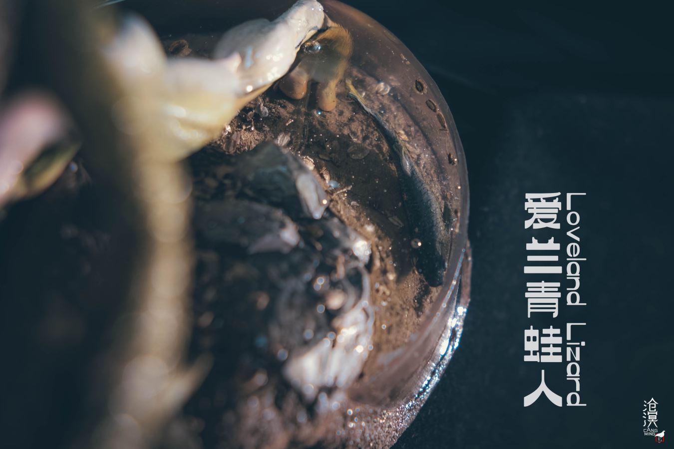 Ailan Frog Man - Original