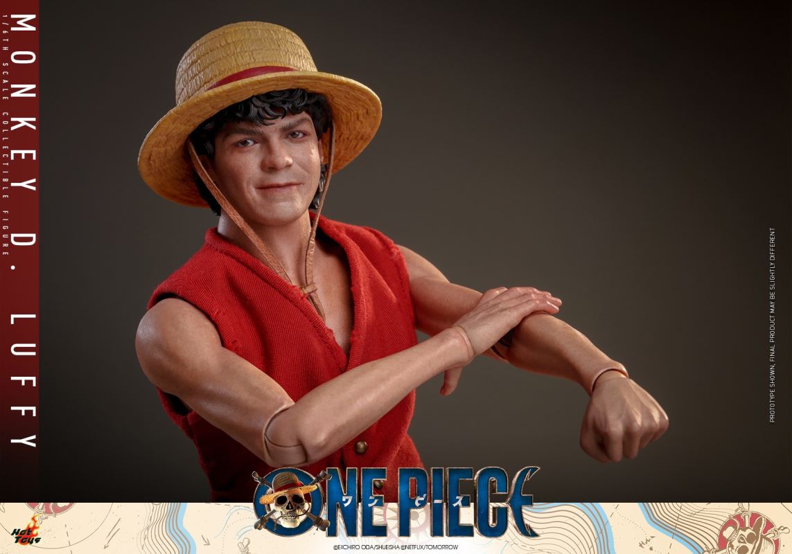 Monkey D. Luffy - One Piece 1/6