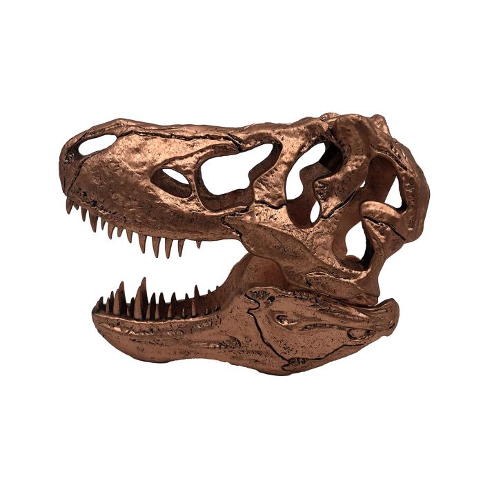 T-REX SKULL