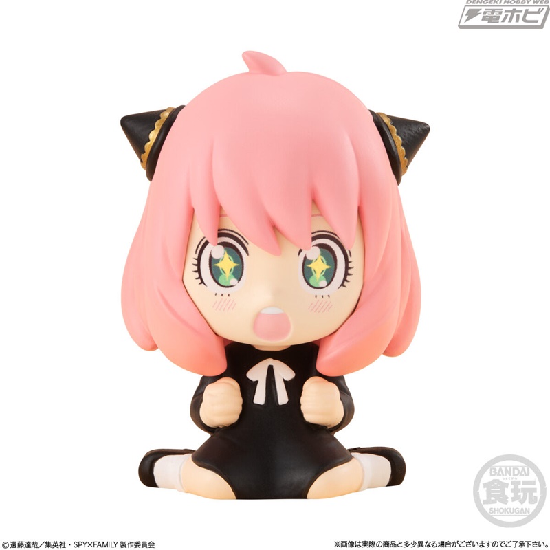 Rirakotto SPY×FAMILY