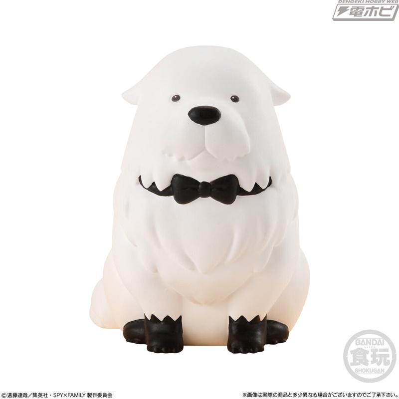 Rirakotto SPY×FAMILY