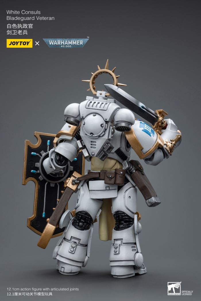 Sword Guard Veteran/Cadia Command Team