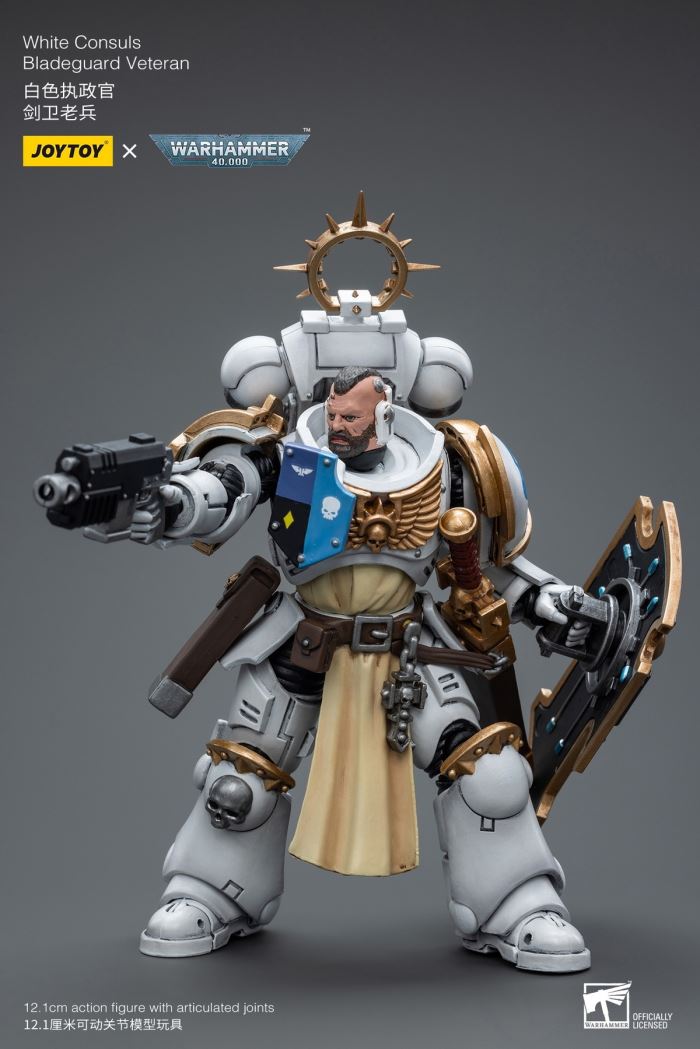 Sword Guard Veteran/Cadia Command Team