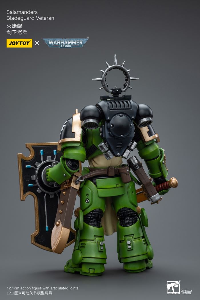 Sword Guard Veteran/Cadia Command Team