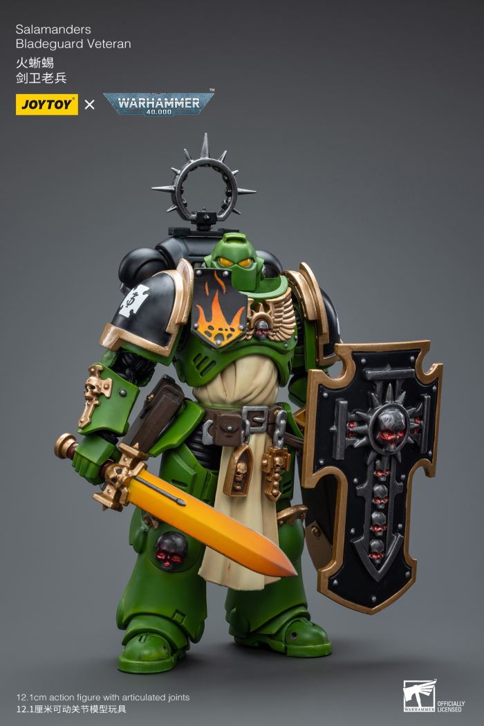 Sword Guard Veteran/Cadia Command Team