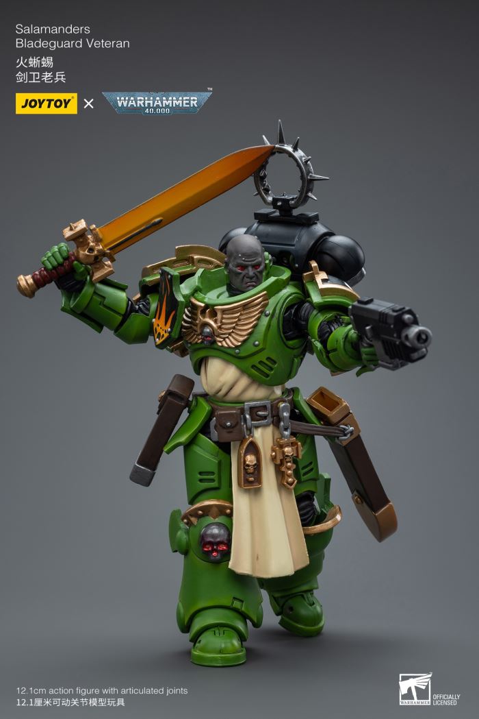 Sword Guard Veteran/Cadia Command Team