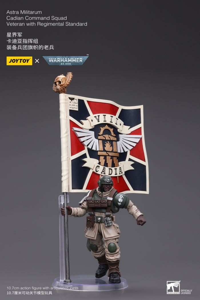 Sword Guard Veteran/Cadia Command Team