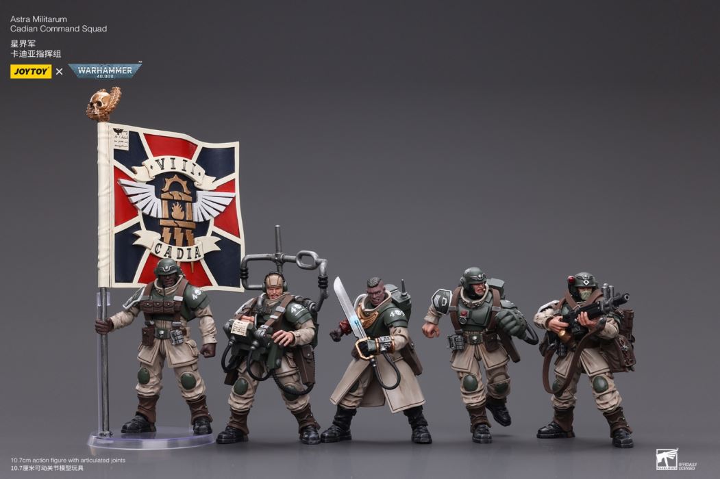 Sword Guard Veteran/Cadia Command Team