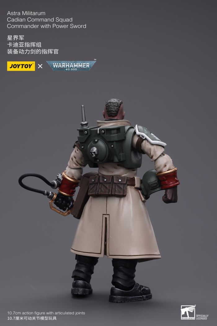 Sword Guard Veteran/Cadia Command Team