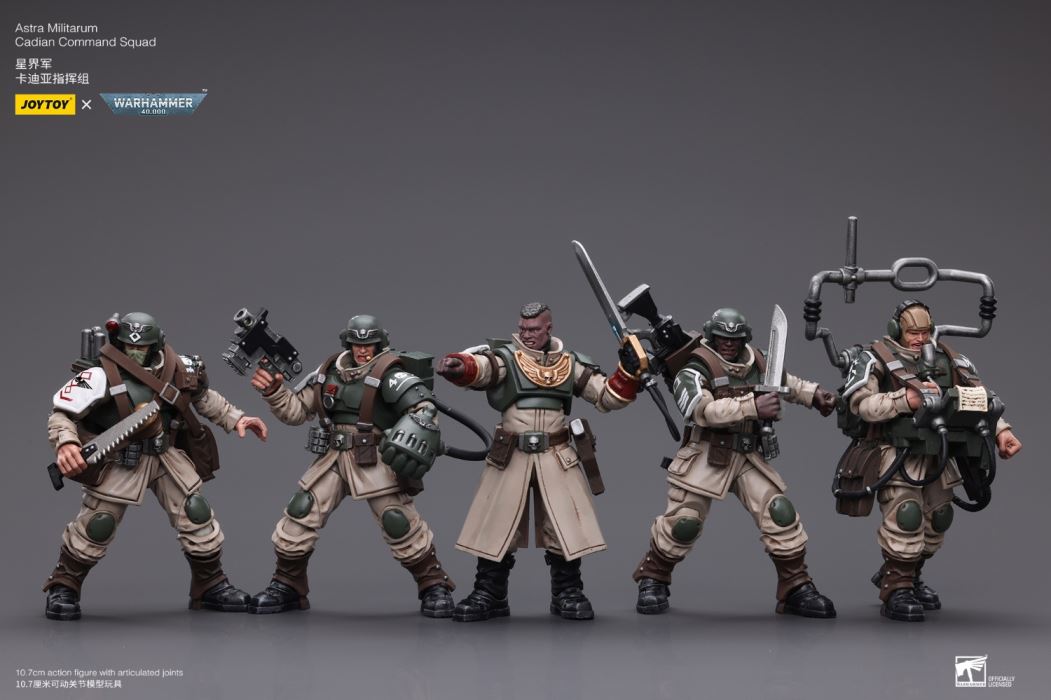 Sword Guard Veteran/Cadia Command Team