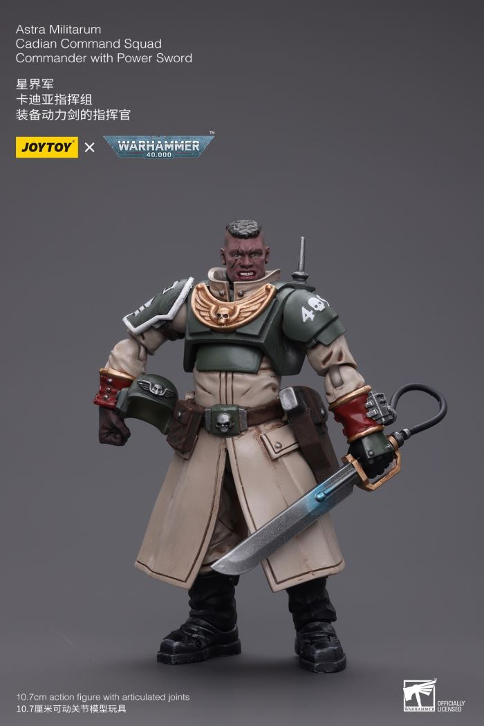 Sword Guard Veteran/Cadia Command Team