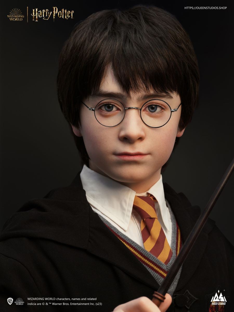 Harry Potter Bust