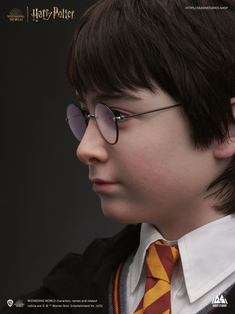 Harry Potter Bust