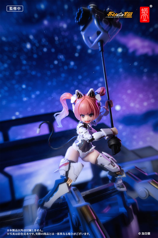 EveD Series AMBRA-02 (Strike Cat) Ambra 1/12
