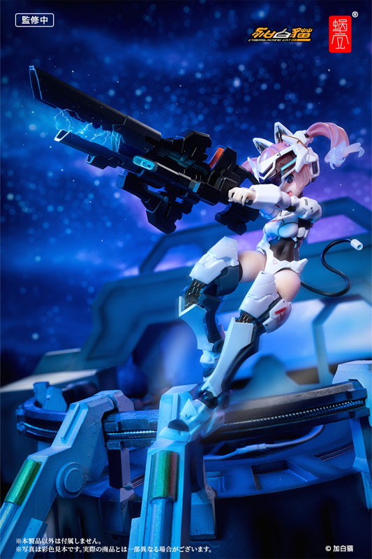 EveD Series AMBRA-02 (Strike Cat) Ambra 1/12