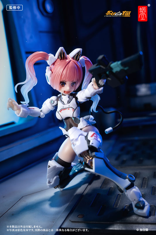 EveD Series AMBRA-02 (Strike Cat) Ambra 1/12