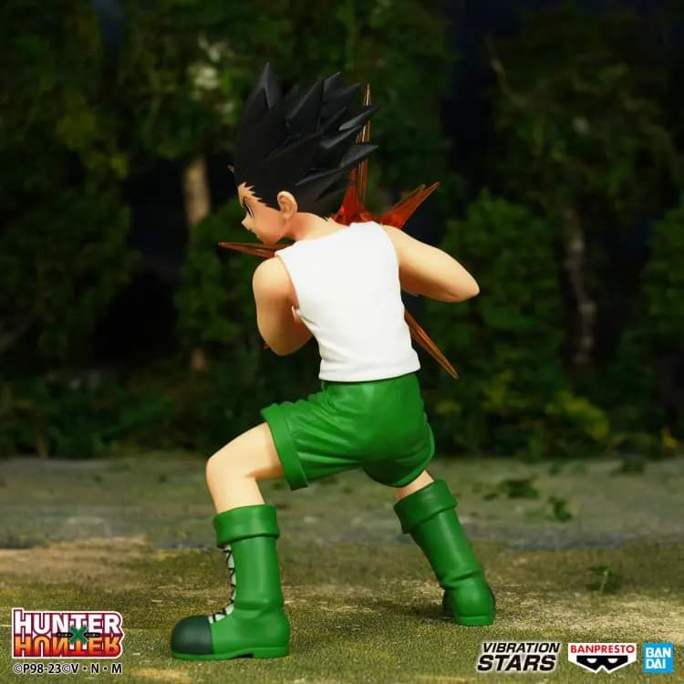 Hunter X Hunter- Gon Vibration Stars