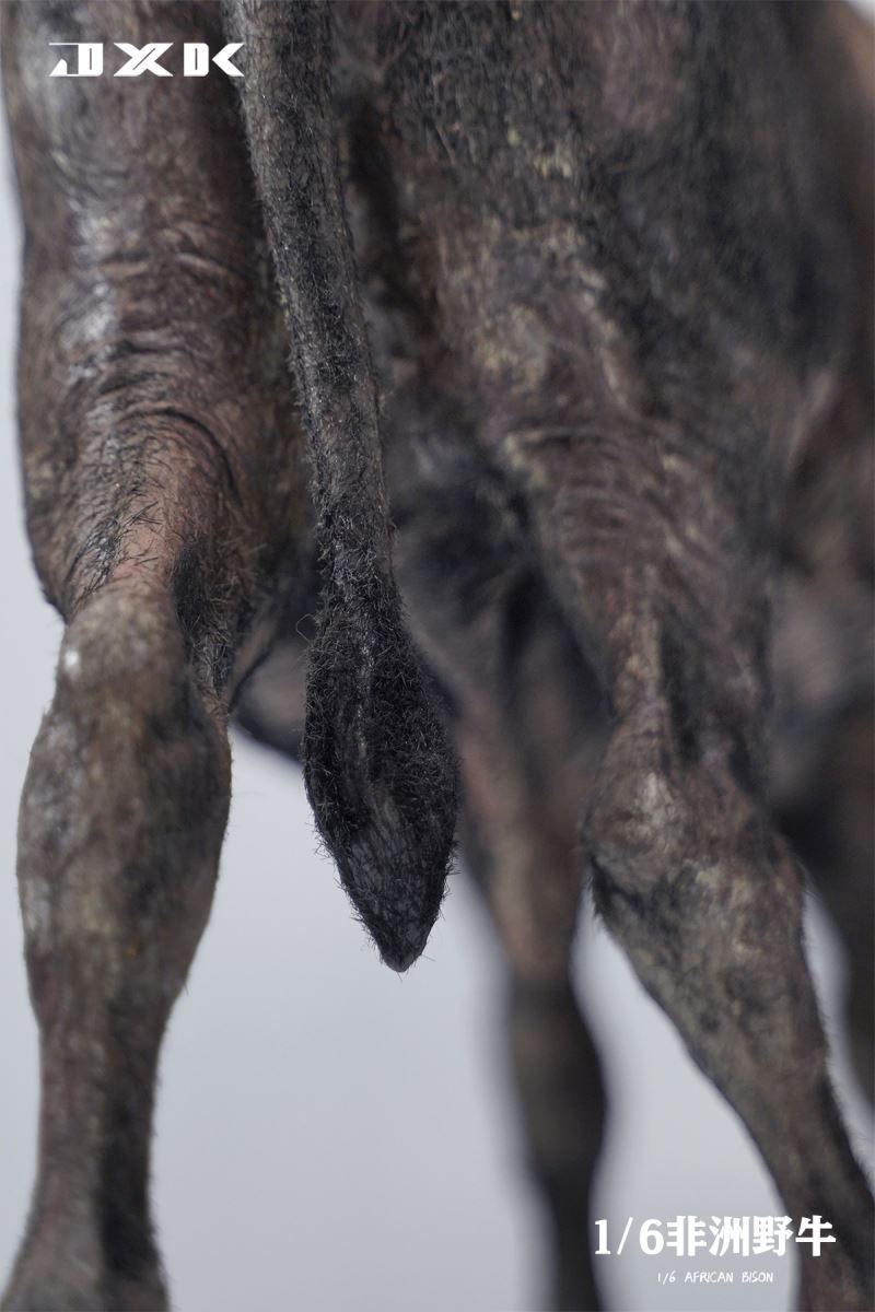 Syncerus Caffer 1/6
