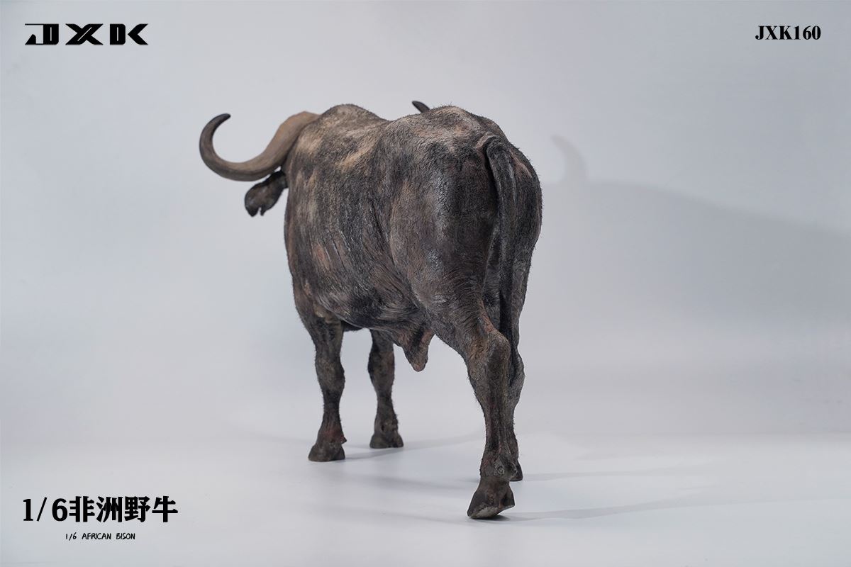 Syncerus Caffer 1/6