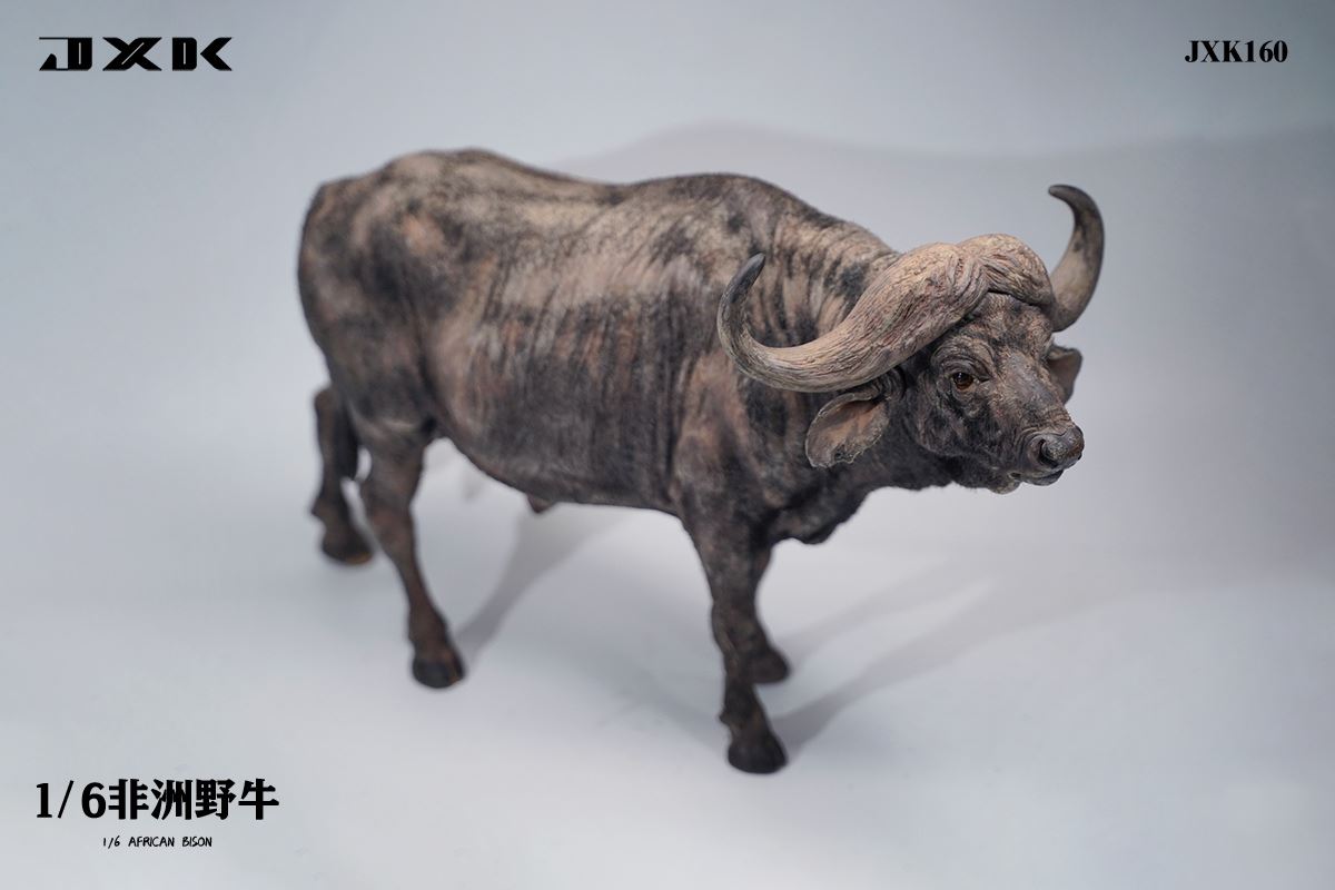 Syncerus Caffer 1/6