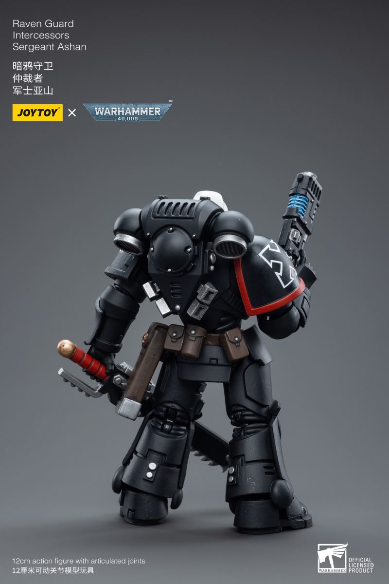 Raven Guard Intercessors Sergeant