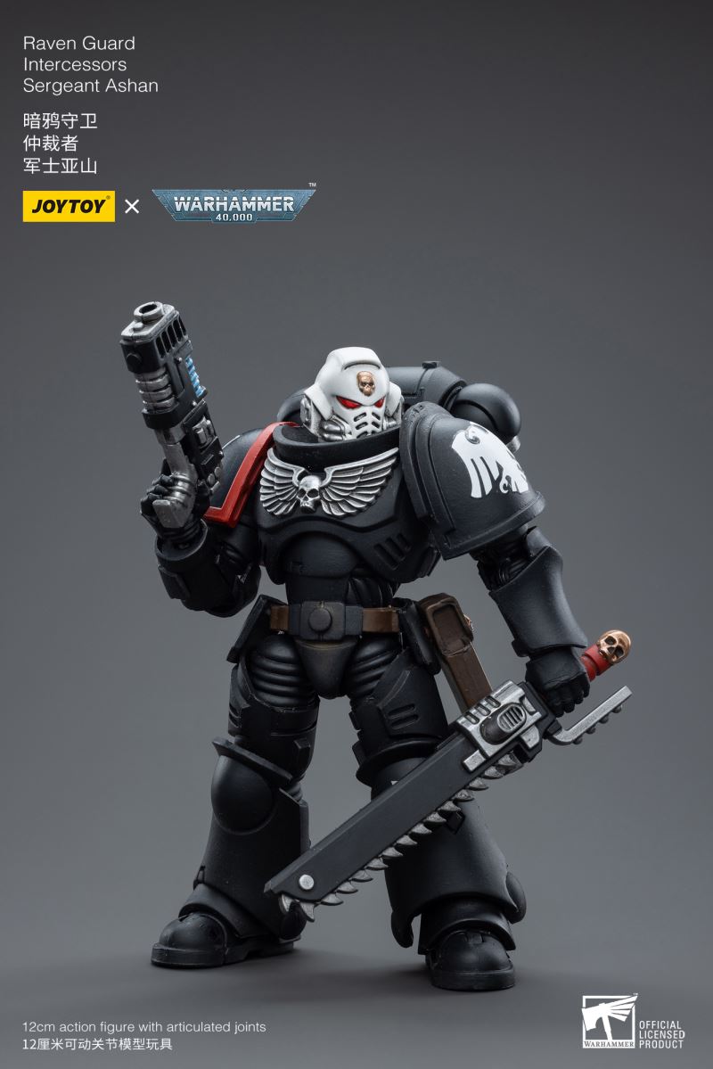 Raven Guard Intercessors Sergeant