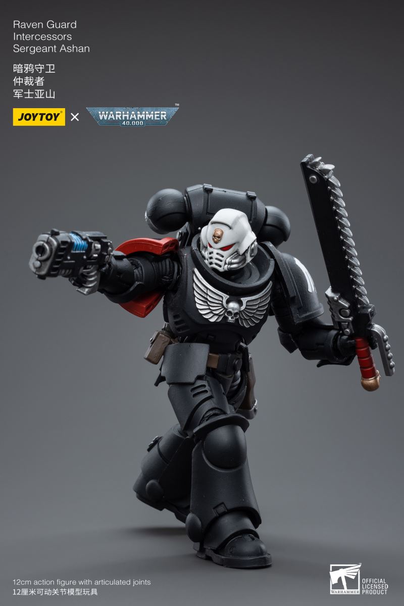 Raven Guard Intercessors Sergeant