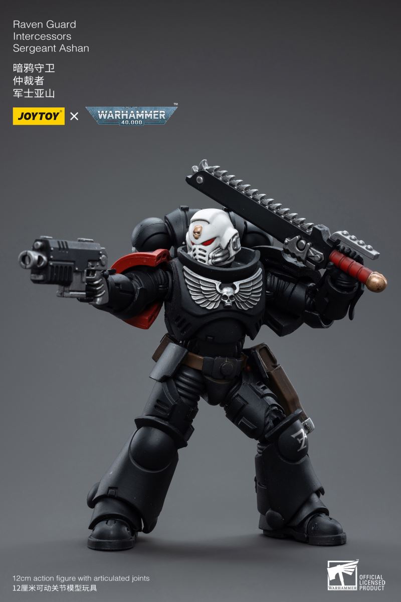 Raven Guard Intercessors Sergeant