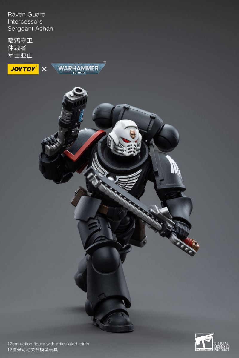 Raven Guard Intercessors Sergeant