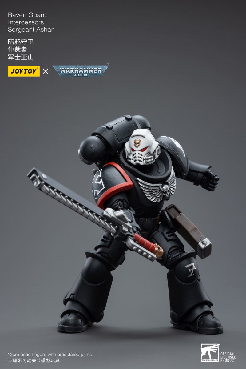 Raven Guard Intercessors Sergeant