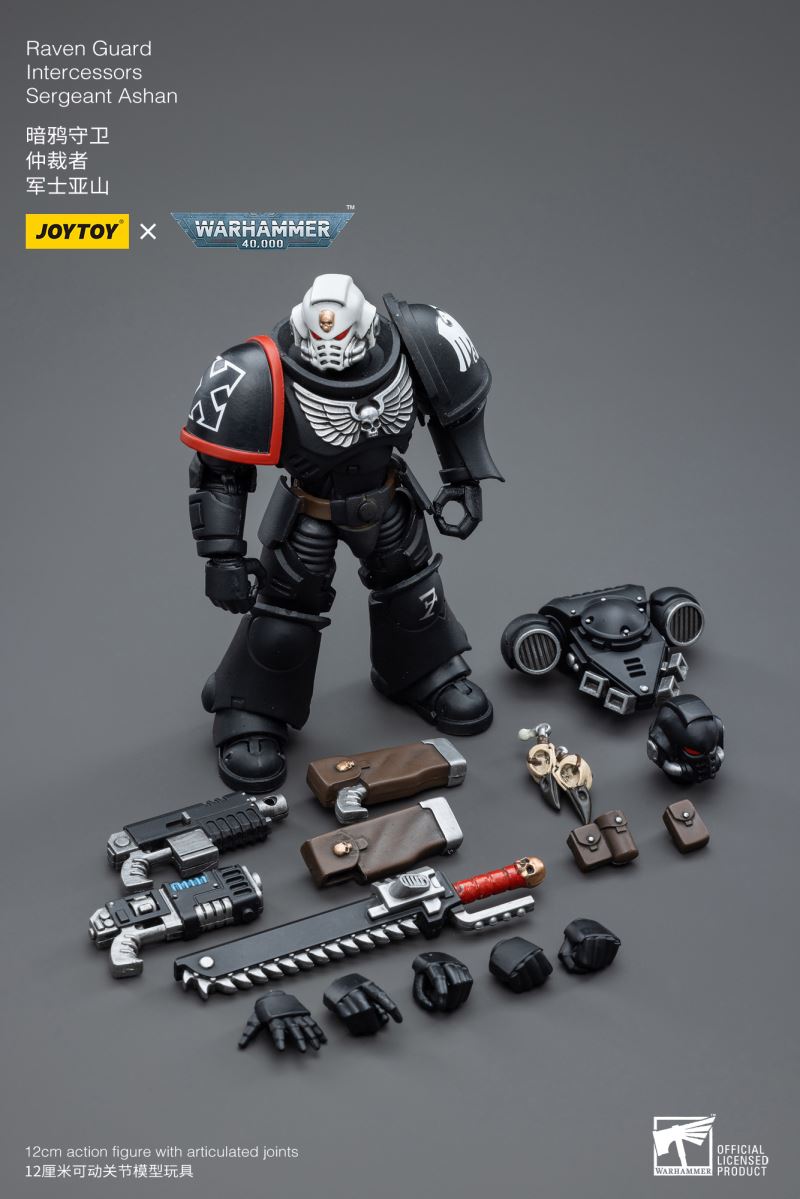 Raven Guard Intercessors Sergeant