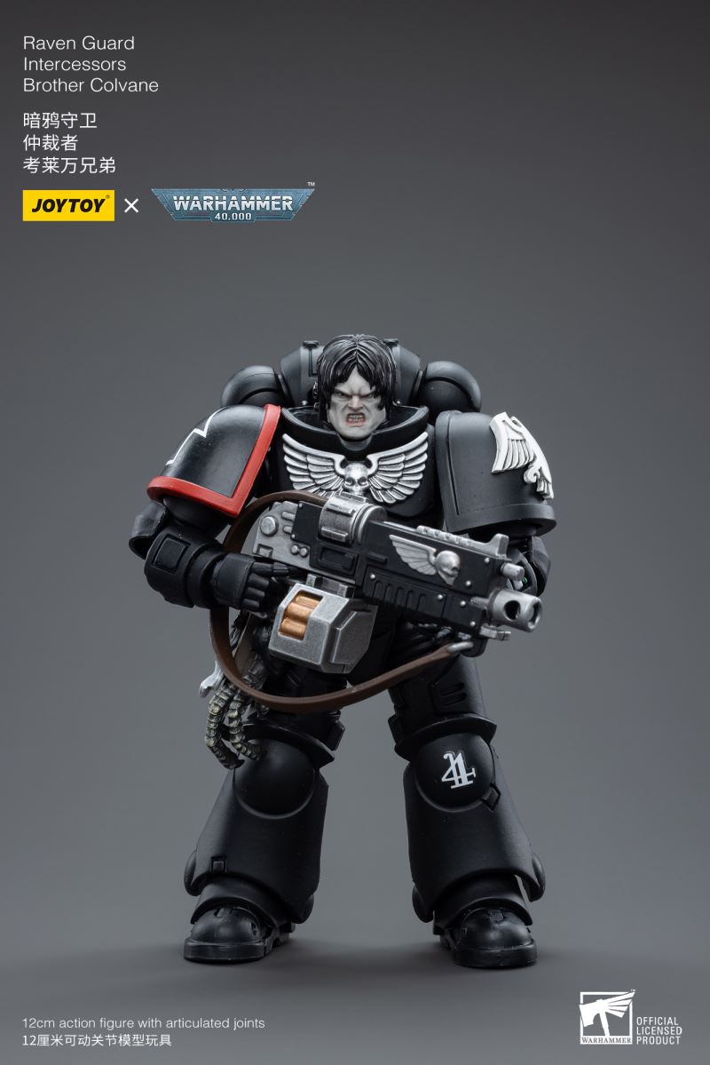 Raven Guard Intercessors Sergeant