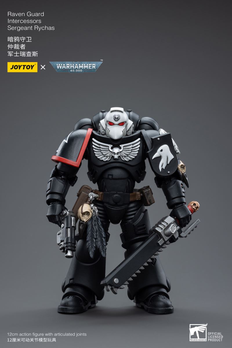 Raven Guard Intercessors Sergeant